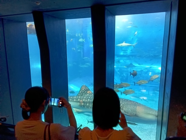 R8.研修旅行3日目2